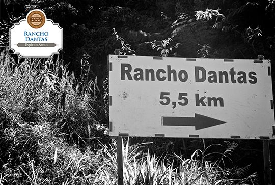 Read more about the article LANÇAMENTO Rancho Dantas – Não leve o café do vovô!